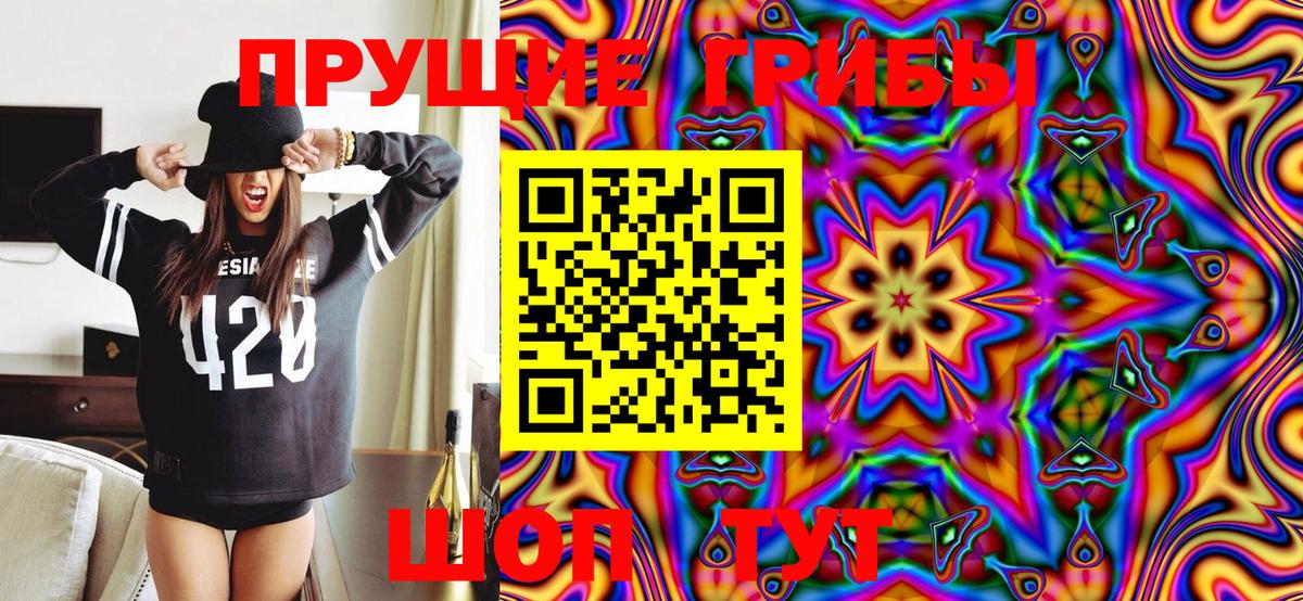 Галлюциногенные грибы Cubensis  Вход с VPN  Псилоцибиновые грибы Psilocybine cubensis  Королёв 