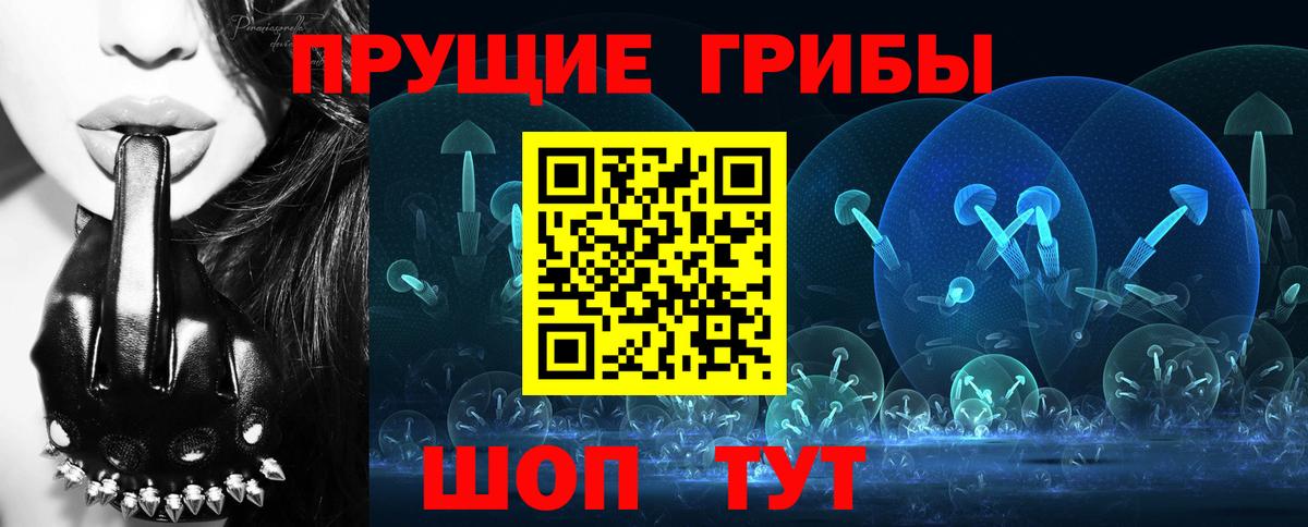 Псилоцибиновые грибы мицелий Королёв